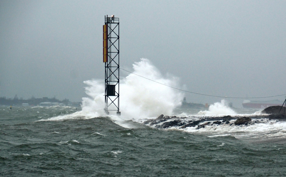 Stora vågor på stranden.