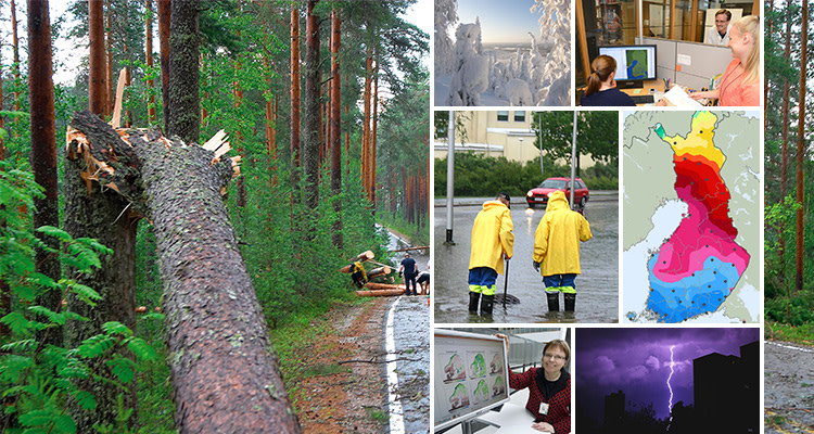 IVS enhetens huvudsyfte.