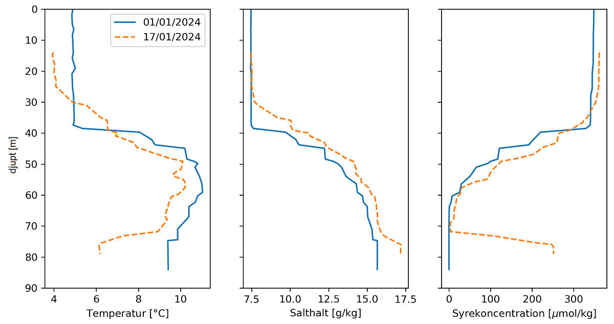 Tre grafer som visar hur havsvattnet har förändrats efter en saltpuls. I botten har temperaturen sjunkit och syrehalten stigit. Salthalten har stigit något i hela vattenpelaren.