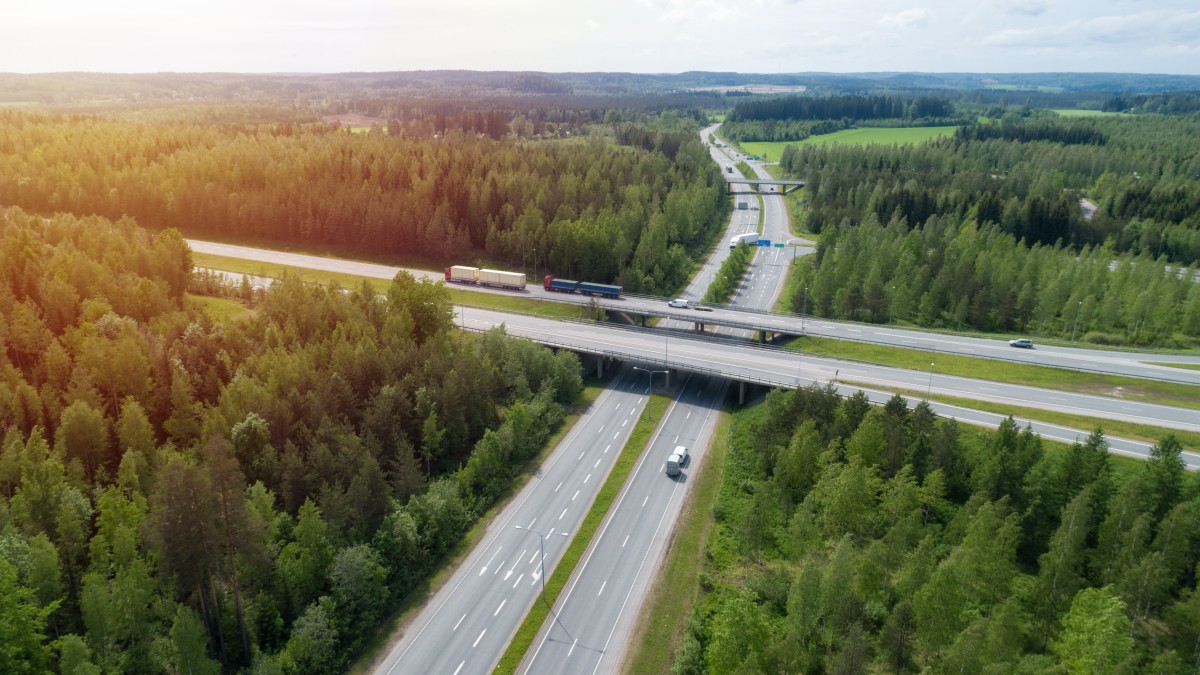 Bilden visar en sommartrafikbild från luften med skog och en gångbro.