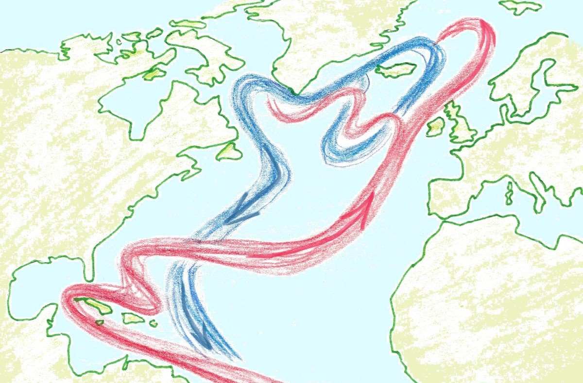 Karta över Atlanten där varma strömmen kommer från Karibiska havet mot nordost till Europa och kalla strömmar från Atlanten nära Island  mot sydväst längs kusten av Nordamerika.
