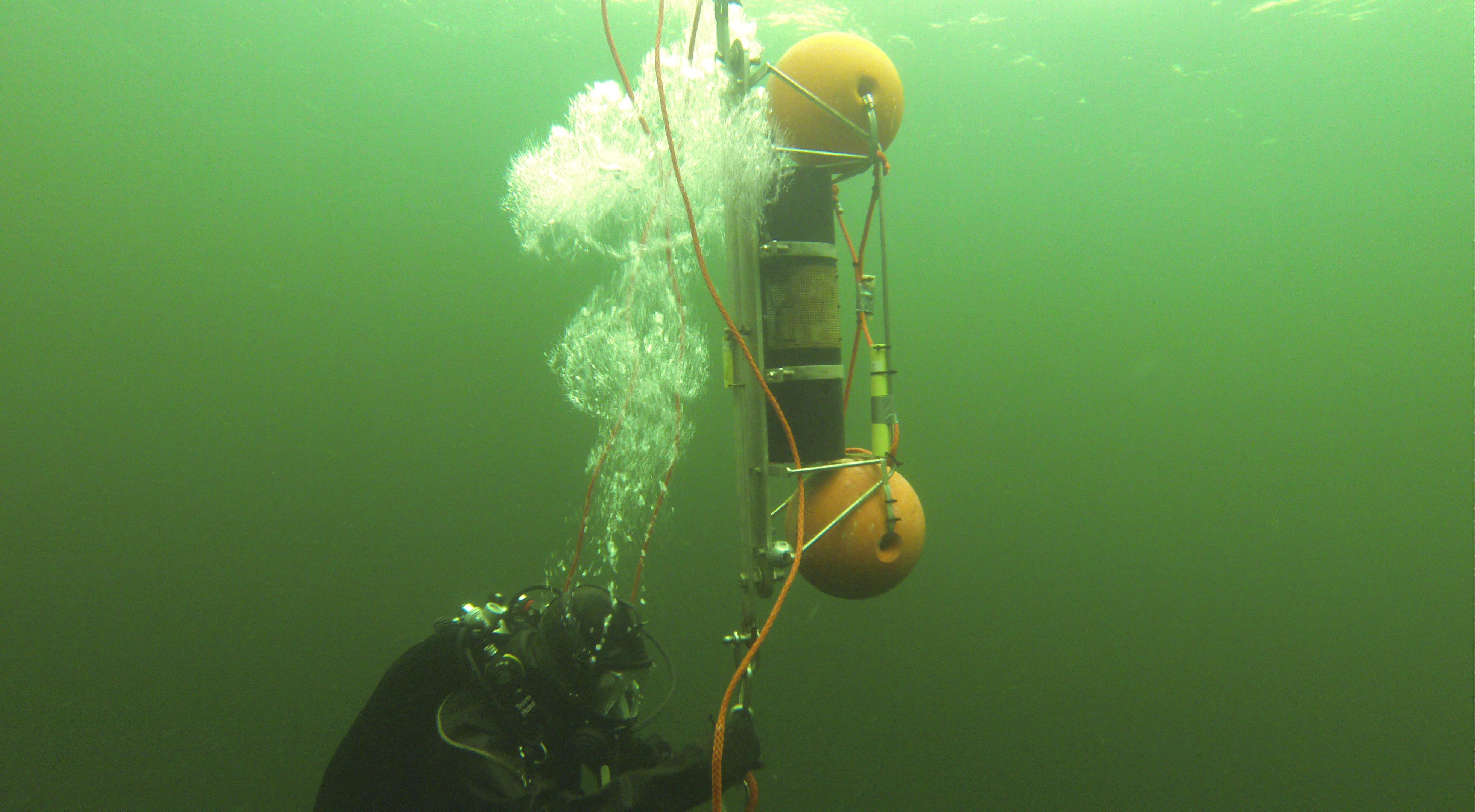 Bilden visar en dykare under havet.